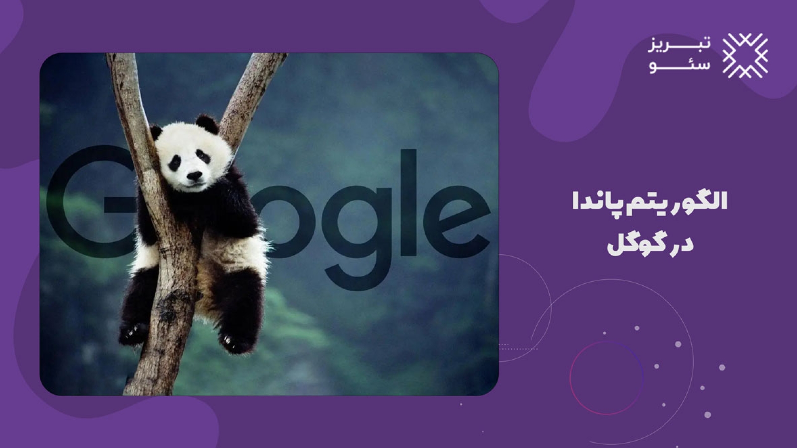 الگوریتم پاندا در گوگل